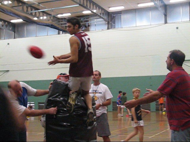 wk8003.jpg