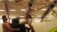 yr38wk0642_small.jpg